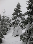 http://lh5.ggpht.com/_Q-b3D5rJSGo/TRheEFoYAaI/AAAAAAAAFKI/TiPkAkmTc68/LosheimergrabenSkideFond%20008.jpg