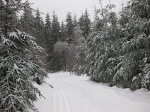 http://lh5.ggpht.com/_Q-b3D5rJSGo/TRheG18VLQI/AAAAAAAAFKM/I7OTxnrNd74/LosheimergrabenSkideFond%20009.jpg