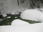 http://lh5.ggpht.com/_Q-b3D5rJSGo/TRheMih6NzI/AAAAAAAAFKc/0Q4r9eEo8eE/LosheimergrabenSkideFond%20020.jpg
