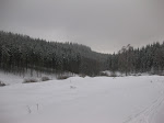 http://lh5.ggpht.com/_Q-b3D5rJSGo/TRhefWc3K0I/AAAAAAAAFLA/6udtIOs1wkk/LosheimergrabenSkideFond%20043.jpg
