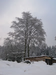 http://lh5.ggpht.com/_Q-b3D5rJSGo/TRhemA7sv8I/AAAAAAAAFLM/-cTbBuf9X90/LosheimergrabenSkideFond%20052.jpg