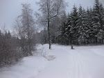 http://lh5.ggpht.com/_Q-b3D5rJSGo/TRheyYqfaII/AAAAAAAAFLk/f7zvYIuJPDs/LosheimergrabenSkideFond%20063.jpg