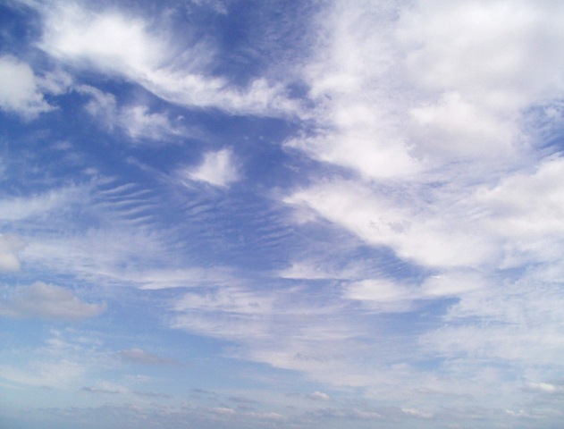 [cloud_712.jpg]