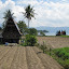 Farmland and Batak houses