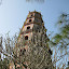 Temple