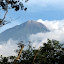 A closer look at Gunung Wellirang