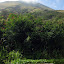 A final look at the summitof Penangungan from a temple
