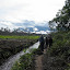Walking towards Gunung Palung along canal in degraded peat land