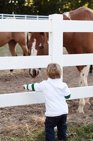 [Crawford with Horse 2[6].jpg]