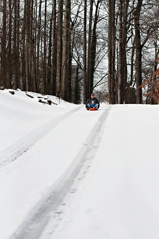 [_DSC0278[3].jpg]