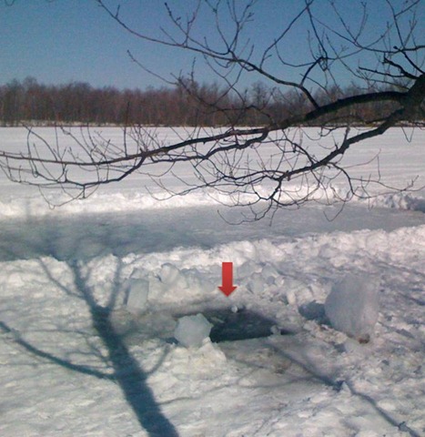 [polarplunge[26].jpg]
