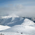 IMG_5979.JPG