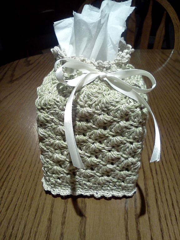 [Tissue Box Cover[4].jpg]