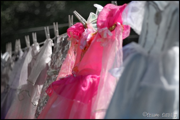 princesslaundry3a princesslaundry3a