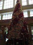 Oh Christmas tree
