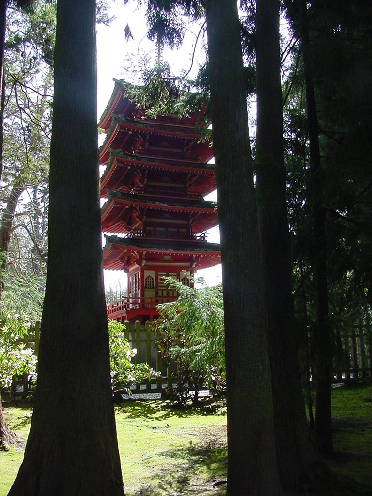 [DSC02256[5].jpg]