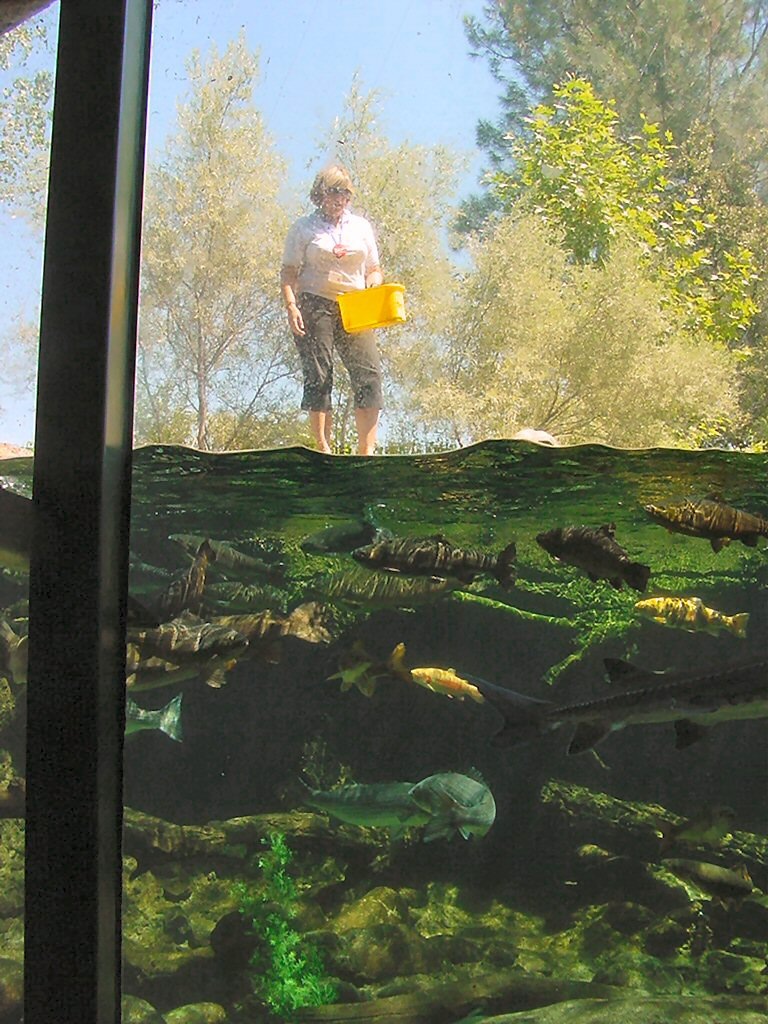 [DSC02024feedingtime[5].jpg]