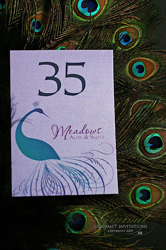 Alita's peacock wedding invitations in purple and blue were so striking