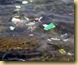 contaminación de Mares 1
