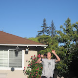 Picture 023.jpg