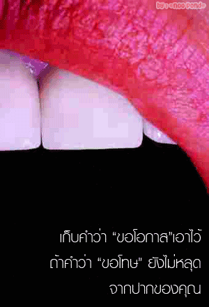 คลิกๆๆ รูปสวยๆน่ารักๆไว้ส่งต่อเพียบ...