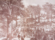 Zielone Świątki w 1874 r.
