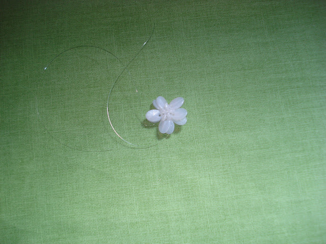 Flor de pedrarias Flor de pedrarias