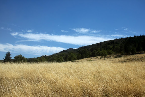 Photo of  Roadbook Ibérico 2010