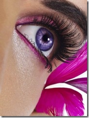 the_eye the_eye