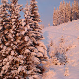 Hafjell uge 49 2008