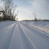Langrend i Rold 2009