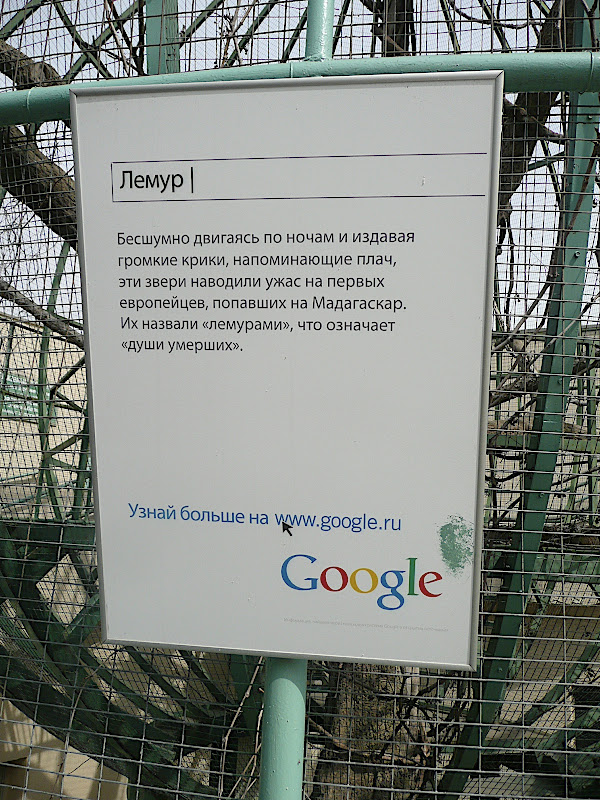  Жираф Самсон и другие обитатели Московского зоопарка
