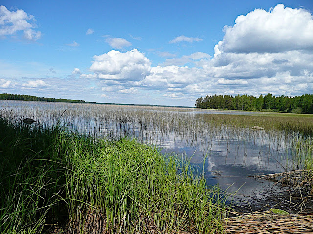 P1050048 Финляндия, где то между Хельсинки и Оулу