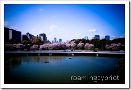 IMG_0906-1