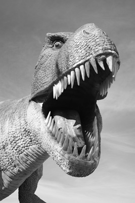 [DPP_0001902911.jpg]