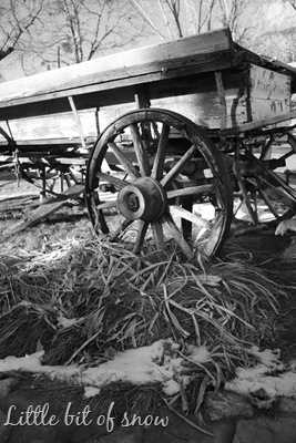 [DPP_00018755[10].jpg]