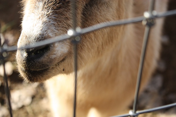 [DPP_00018774[4].jpg]