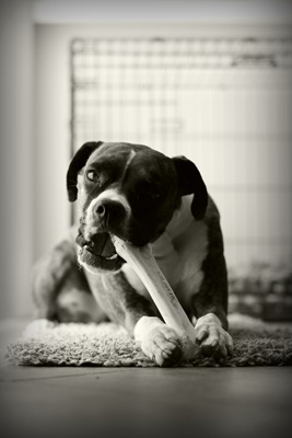 [DPP_00018949--1[4].jpg]