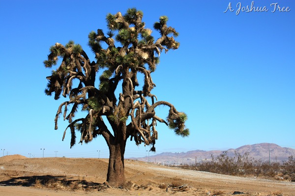 [DPP_00019314[10].jpg]