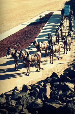 [DPP_00019388-2[4].jpg]