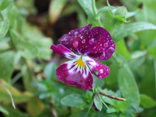 [DPP_00012307-trim[4].jpg]