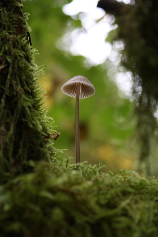 [DPP_00012351[2].jpg]