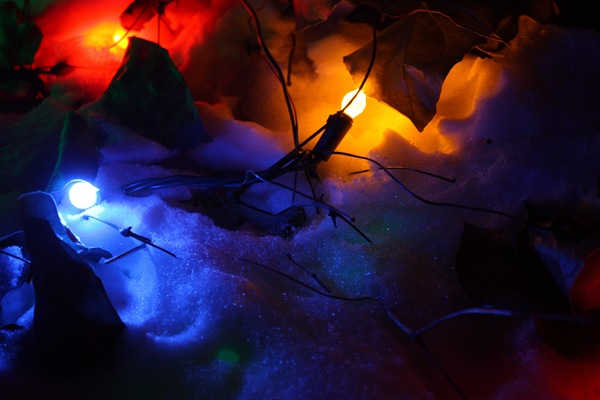 [DPP_00012353[8].jpg]