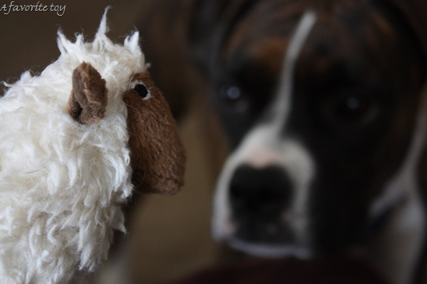 [DPP_00012502[14].jpg]