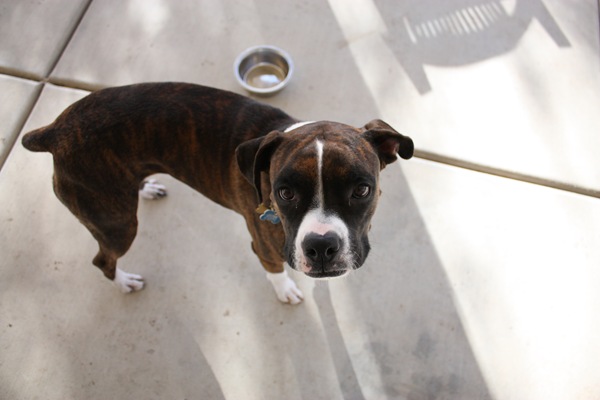 [DPP_00012395[5].jpg]