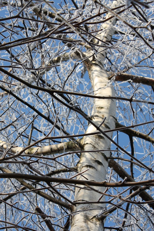 [DPP_00012609[7].jpg]