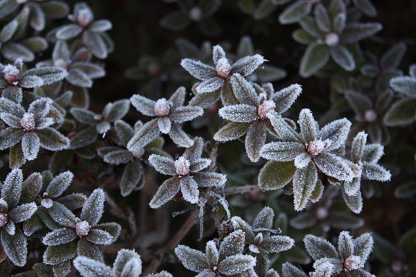 [DPP_00012631[6].jpg]