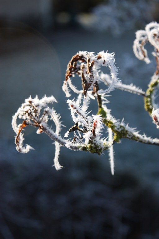 [DPP_00012629[9].jpg]