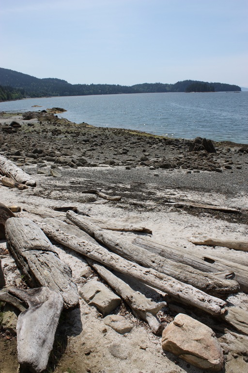 [DPP_00013653[6].jpg]