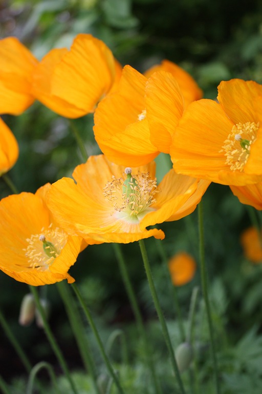 [DPP_00013536[6].jpg]